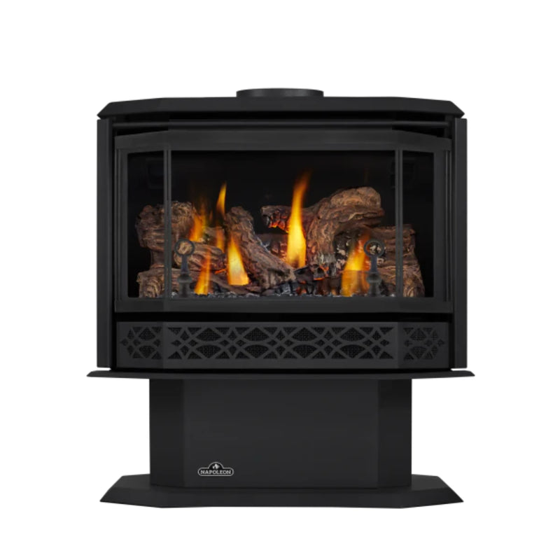 Napoleon Havelock™ Natural Gas Direct Vent Stove | GW STORE