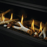 Napoleon Luxuria™ 50 Natural Gas See Through Direct Vent Fireplace - Electronic Ignition | GW STORE