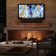 Furrion Aurora® Outdoor TV Cover | GW STORE