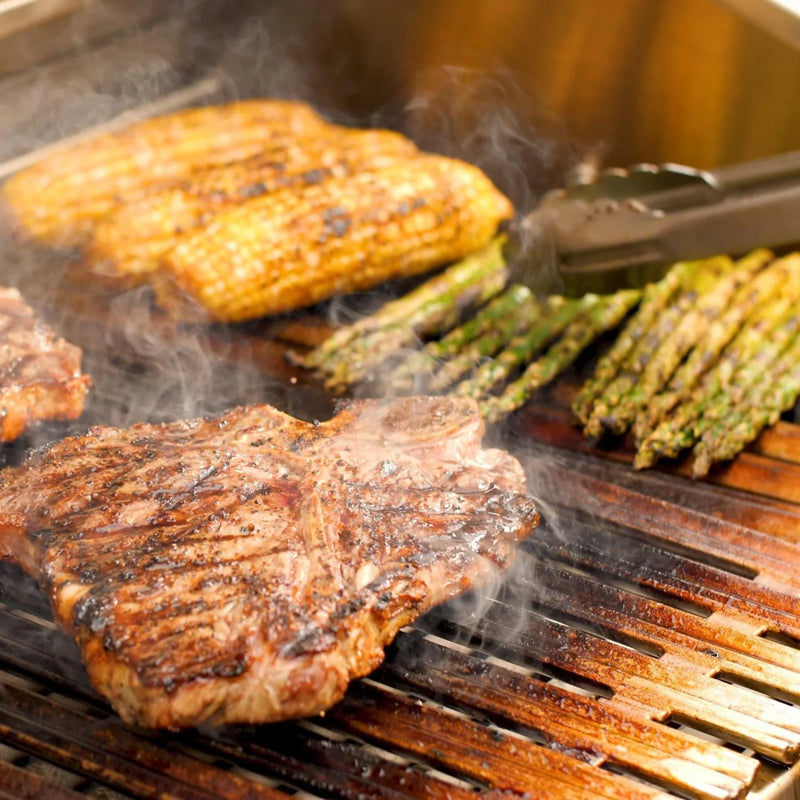 DCS Series 9 48-Inch Built-In Gas Grill w/ Rotisserie | GW STORE