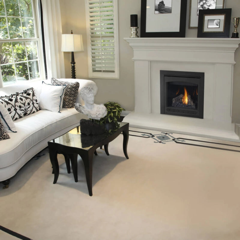 Napoleon Ascent 30 Direct Vent Gas Fireplace | GW STORE