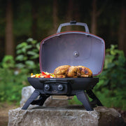 Napoleon TravelQ 285 Portable Propane Gas Grill w/ Griddle | GW STORE