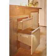 Napoleon BI-4224-1D1W - 42" x 24" Large Door & Waste Bin Drawer Combo | GW STORE