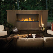 Napoleon Galaxy™ 50 Outdoor Gas Fireplace Stainless Steel | GW STORE