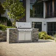Weber Summit SB38 S Built-In Gas Grill | GW STORE