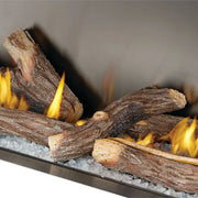 Napoleon Galaxy 62 Outdoor Gas Fireplace Stainless Steel | GW STORE