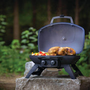 Napoleon TQ285-BL-1 Portable Gas Grill - Blue | GW STORE
