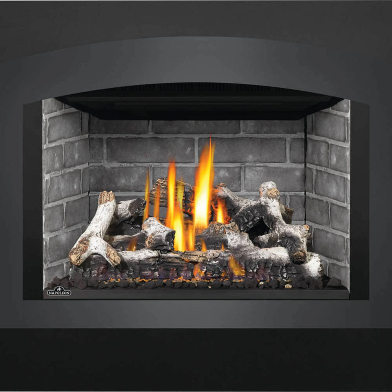 Napoleon Oakville X4 Direct Vent Gas Insert