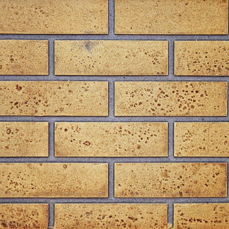 Napoleon Decorative Panels Sandstone Standard Brick for High Definition 81