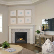 Napoleon Ascent™ X 36 Direct Vent Fireplace, Natural Gas, Millivolt Ignition | GW STORE