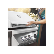 Twin Eagles 30" Gas Built-In Grill | GW STORE